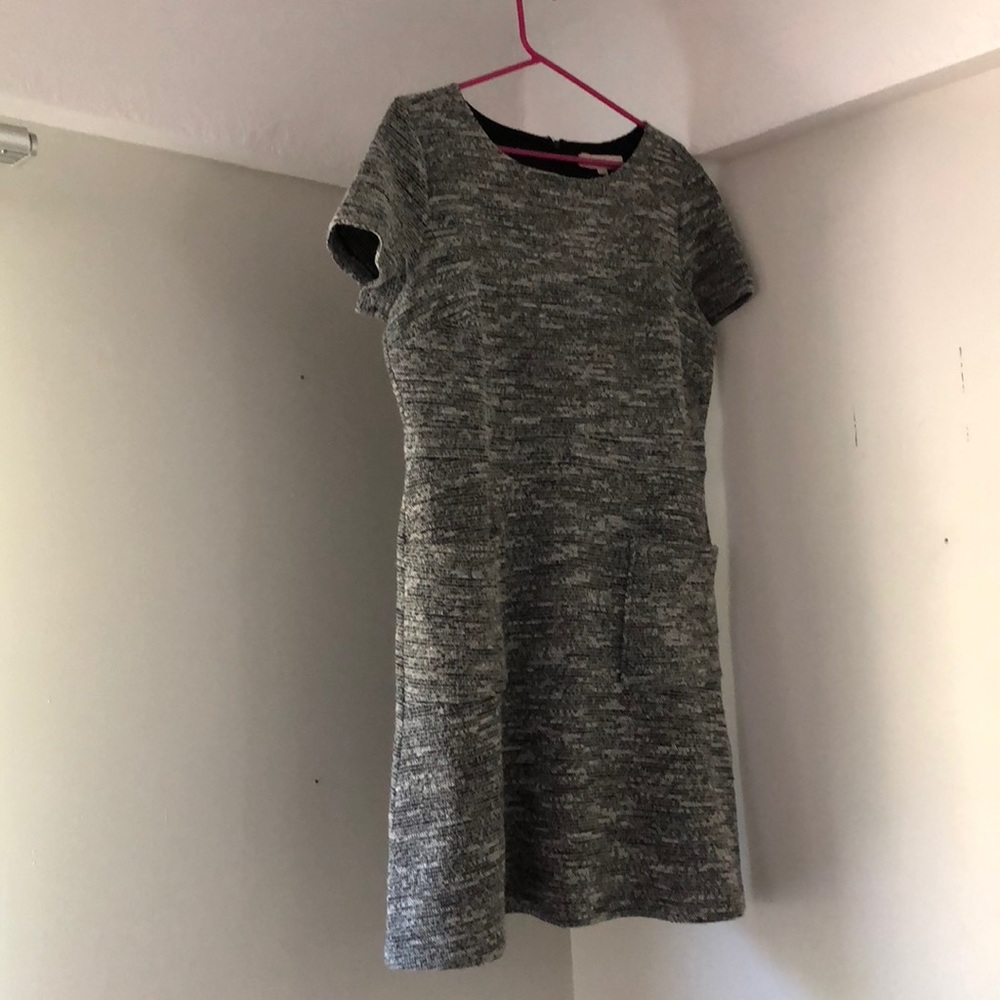 Ann Taylor Loft Dress